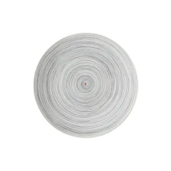 Rosenthal Flache Teller|Kuchen- & Dessertteller|Frühstücksteller 22 cm