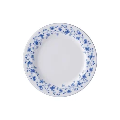 Rosenthal Flache Teller|Kuchen- & Dessertteller|Frühstücksteller 22 cm Fahne