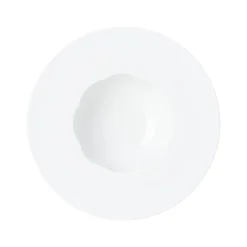 Rosenthal Tiefe Teller|Pastateller|Gourmetteller 28 cm tief matt