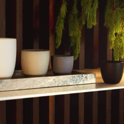 Rosenthal Kaffeetassen|Espressotassen|Lungo doppelwandig