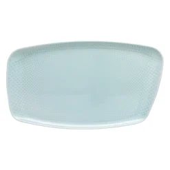 Rosenthal Große Servierplatten|Sushi Platten|Platte 36 x 21 cm