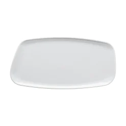 Rosenthal Mittlere Servierplatten|Sushi Platten|Platte 30 x 15 cm