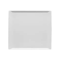 Rosenthal Mittlere Servierplatten|Sushi Platten|Platte 26 x 24 cm flach