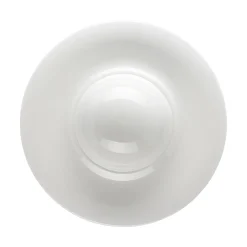 Rosenthal Flache Teller|Tiefe Teller|Reisteller