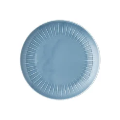 Rosenthal Sushi Platten|Teller 24 cm flach