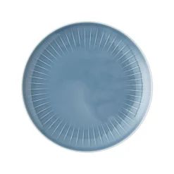 Rosenthal Mittlere Servierplatten|Sushi Platten|Teller 27 cm flach